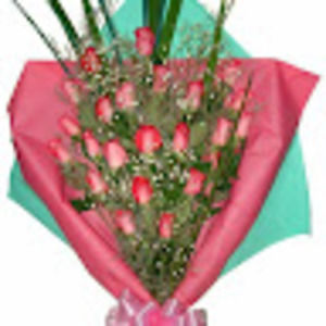 Meet your Posher, Veronica